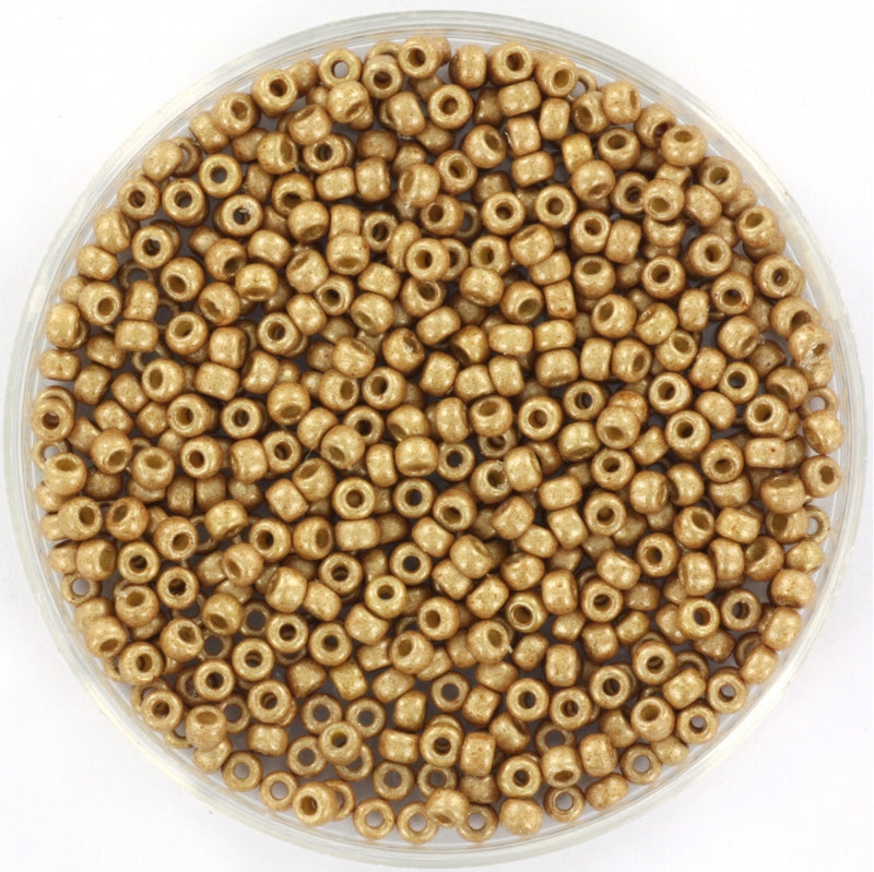 Miyuki Rocailles 11/0 - 4204F