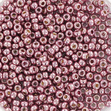 Miyuki Rocailles 11/0 - 4218